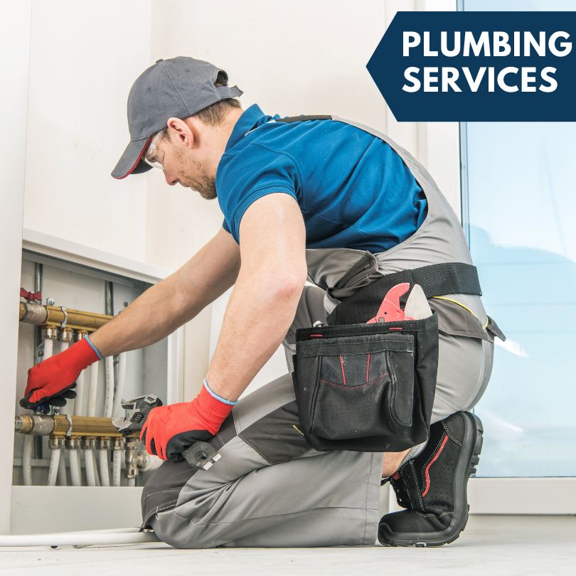 Delhi Plumbing Company